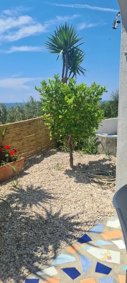 Appartement Casa Colomba Sant'Angelo à Sant'Angelo  Extérieur photo